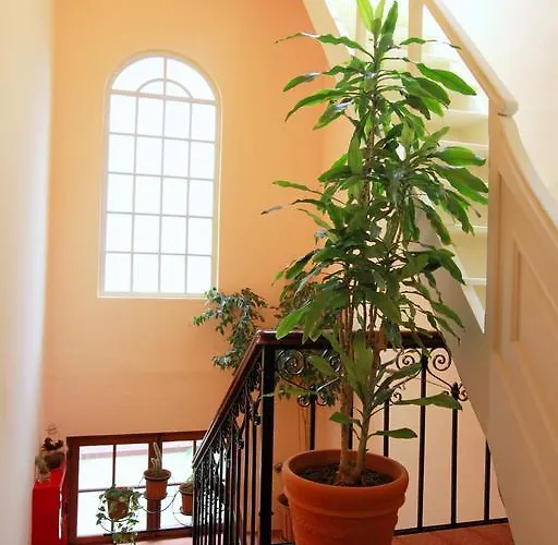 Anastasia Rhodes City