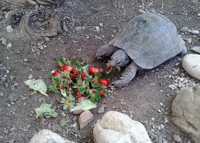 Anastasia فندق Rhodes City