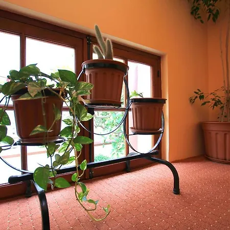 Anastasia Hotel Rhodes City