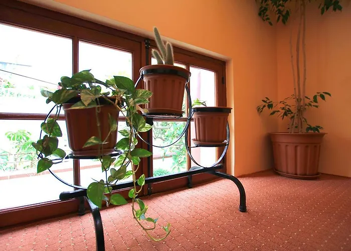 Anastasia Hotel Rhodes City